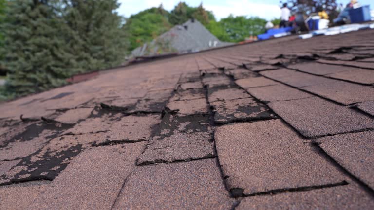Best Steel Roofing  in Jefferson, IA